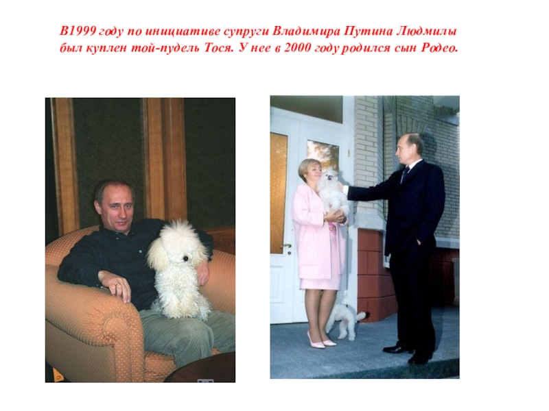 Президент России Владимир Путин известен как очень большой любитель собак.  Честно разделяю эту искреннюю любовь ВВП к братьям нашим меньшим - я сам собачник старый-бывалый.-2