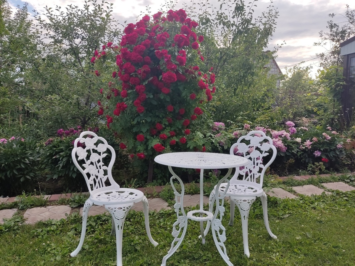 Старая дорожка, оставшаяся от прежних владельцев дачи - единственное мощение в моем саду