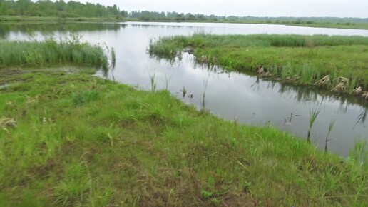 РЫБА КИШИТ и ЛЕЗЕТ ИЗ ВОДЫ! ЗАКИНУЛ ГУСОНОЕ ПЕРО И ПОШЛА РЫБАЛКА! ЗАТОПИЛО ВСЁ!