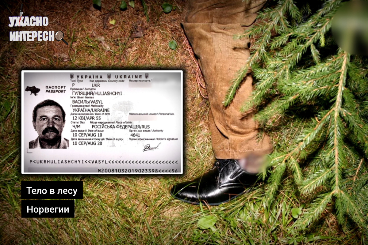 Иллюстрация автора