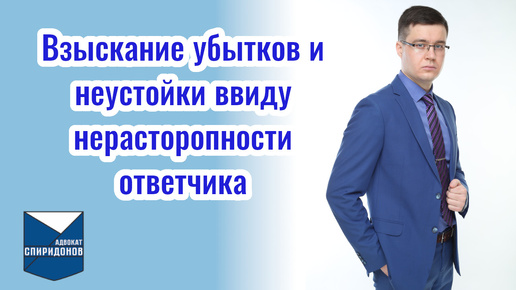 Взыскание убытков и неустойки ввиду нерасторопности ответчика.