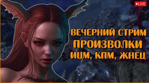 Чилю после работы | Neverwinter Online | M28