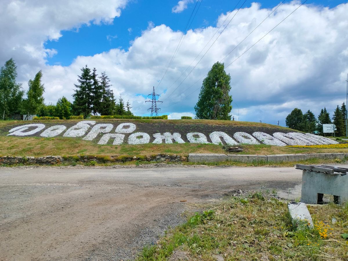 Наверху поляна, на которую мы часто ходим погулять