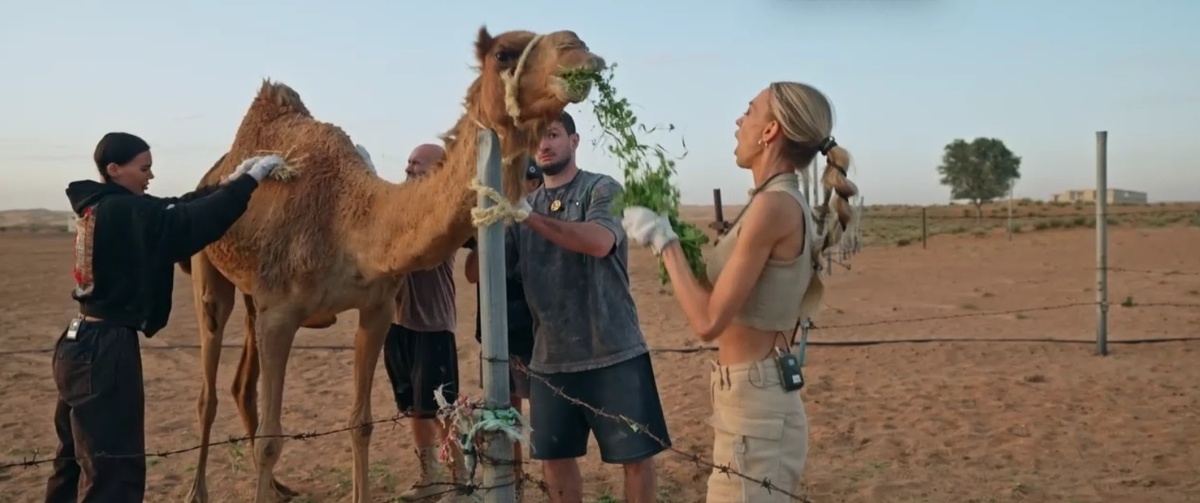 кадр из 2 выпуска шоу "Выжить в Дубае. Возвращение" от 23.06.24 (РФ, ТНТ, 2024) 