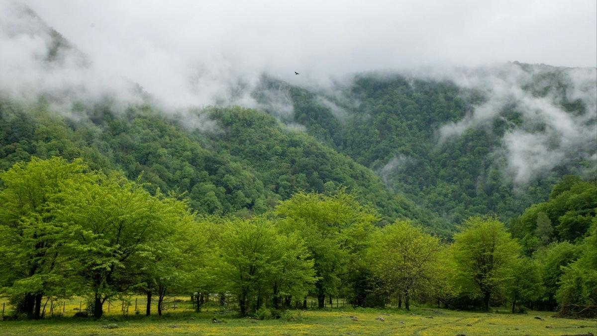 Кавказский хребет ограничивает Абхазию с севера. Главные отроги — это Гагрский, Бзыбский, Абхазский и Кодорский хребты. Именно они формируют горы Абхазии. 