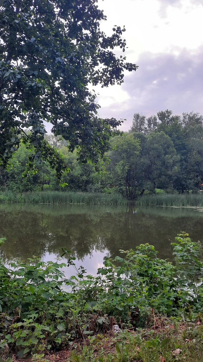 Река ранним утром