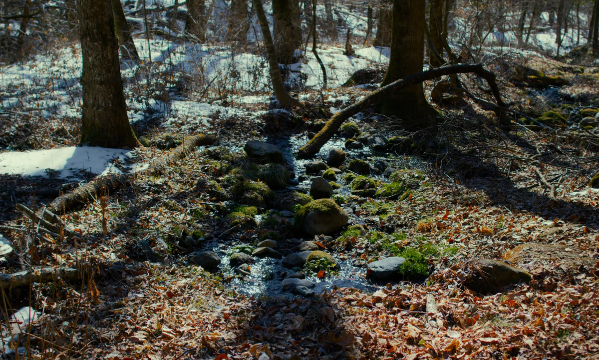 Кадр из фильма "Зло не существует"