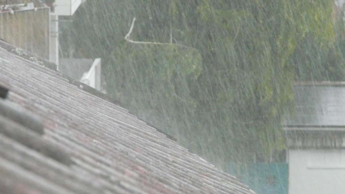     Источник: pxhere.com