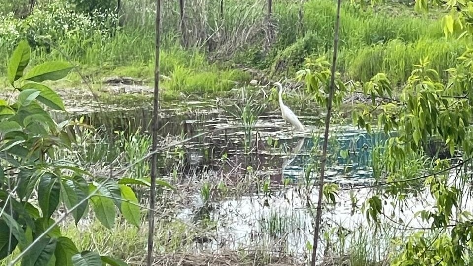     Источник: vostokmedia.com