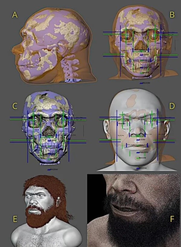    Реконструкция лица одного из первых представителей Homo sapiens / © Cicero Moraes
