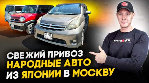 АВТОВОЗ С ЯПОНСКИМИ АВТО В МОСКВЕ🚗 ISIS | HUSTLER | NOTE | N-VAN