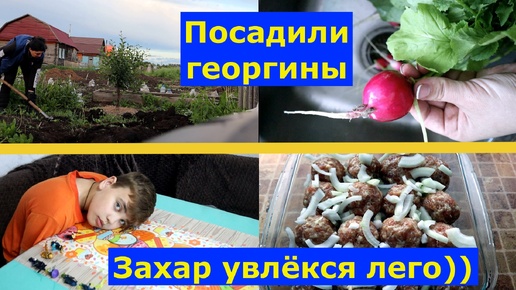 VLOG 19.06.24г. Вкусный обед. Высадили георгины. #будни #прожизнь #огород #мотивация #жизньвдеревне