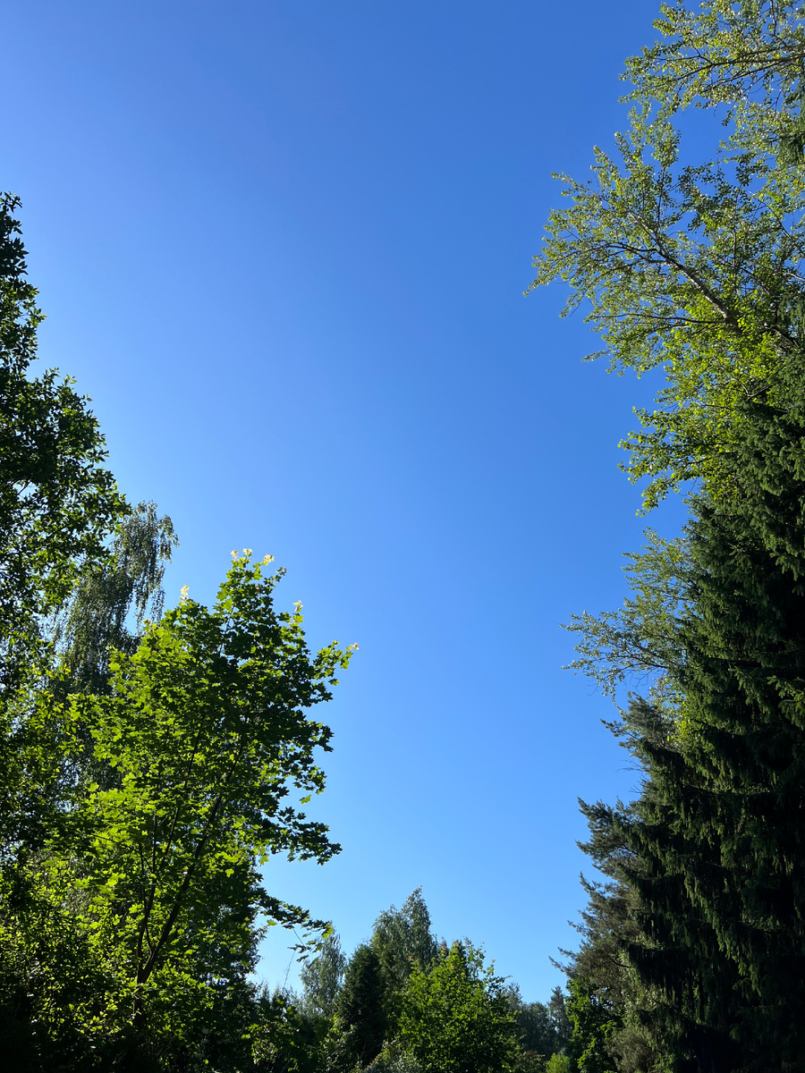 Фото автора, просто лето, просто небо