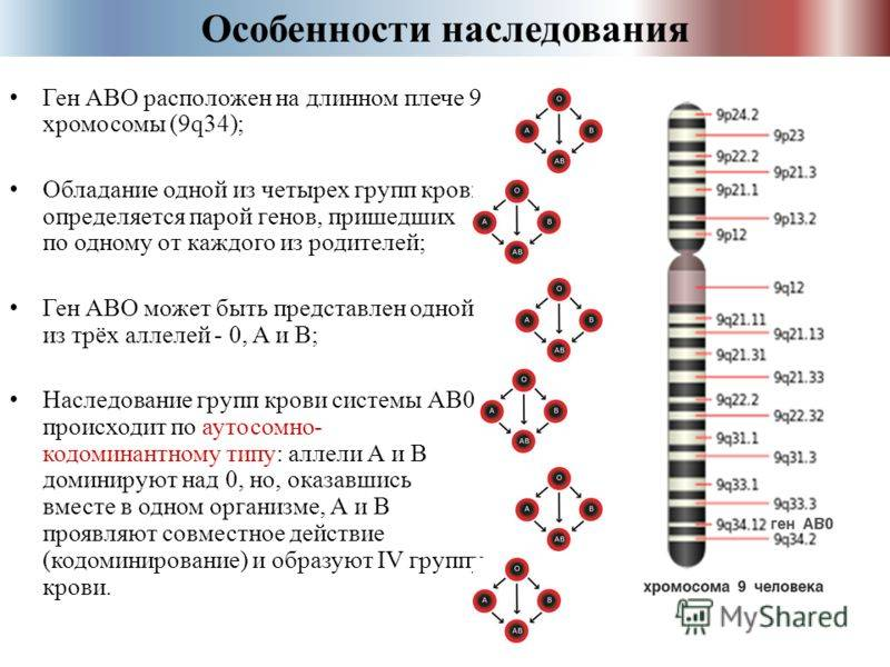 Генетические заболевания передающиеся по наследству по отцовской. Дальтонизм причины проявления тип наследования. Наследование генных болезней схема. Гены локализованные в одной хромосоме. Гены унаследованные от родителей будут.