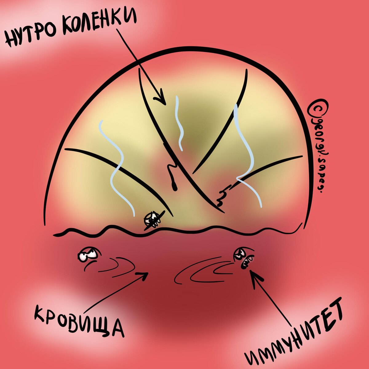 Внутренности ушибленной коленки