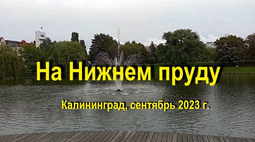 На Нижнем пруду, сентябрь 2023 г.