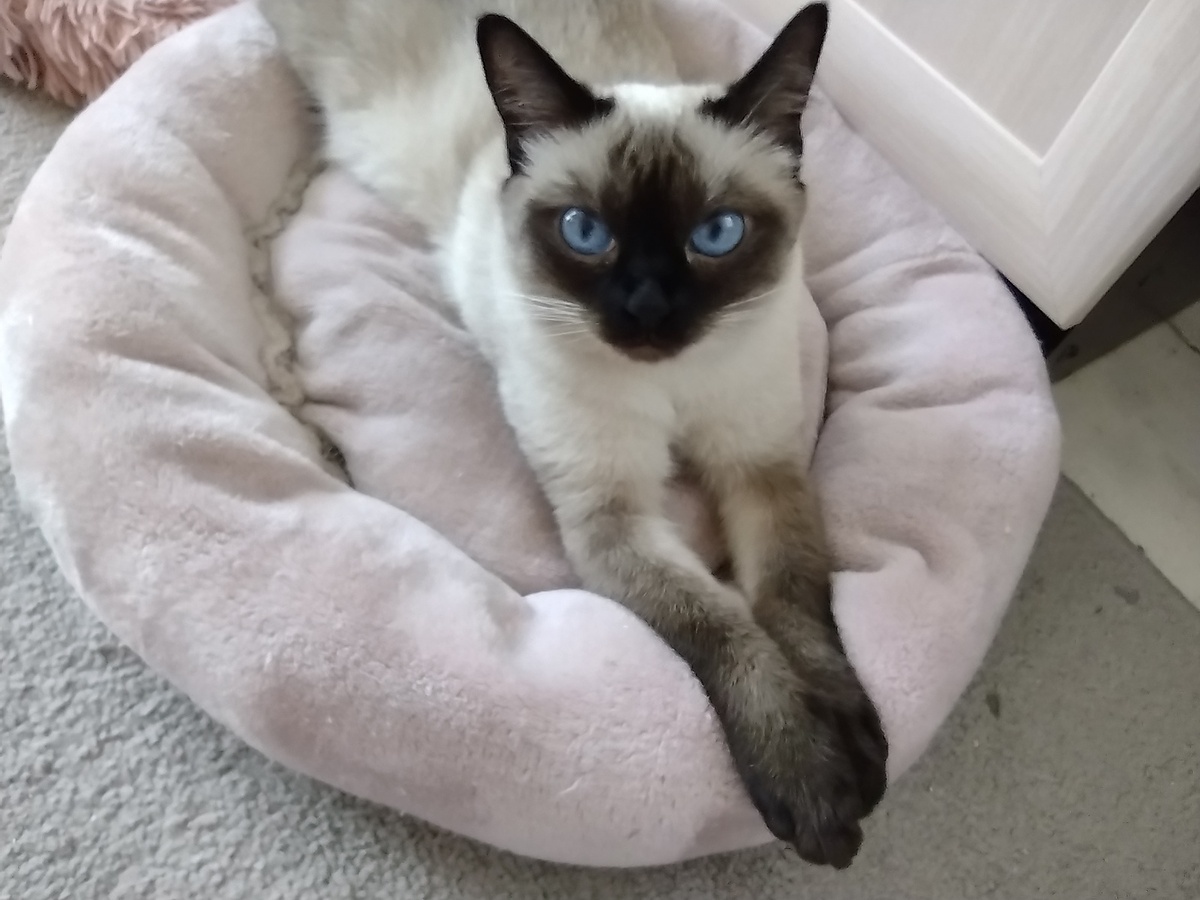 Ну, мать, я выросла, что ты дальше будешь со мной делать?