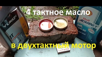 #Мотокоса.  Можно ли лить 4Т масло в 2Т мотор. Есть ли отличия. Проводим опыты.