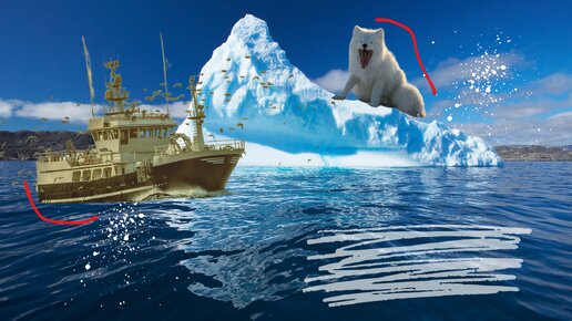 На айсберге посреди океана плавало существо: поняв, кто это, рыбаки начали таранить льдину и помогли бедняге вернуться на берег