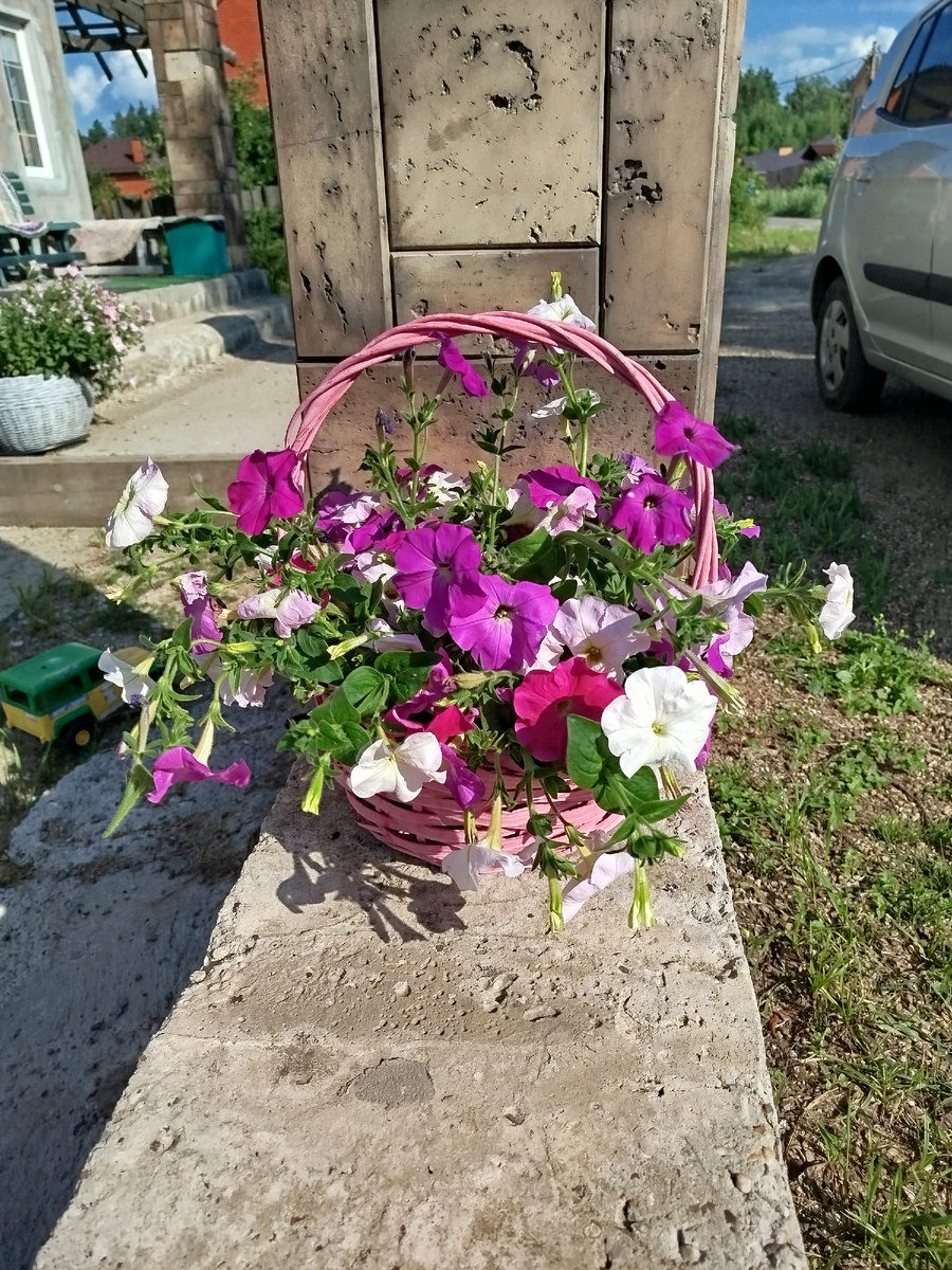 Букет под солнцем.