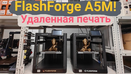 FlashForge A5M - Настраиваем удаленную 3Д печать!