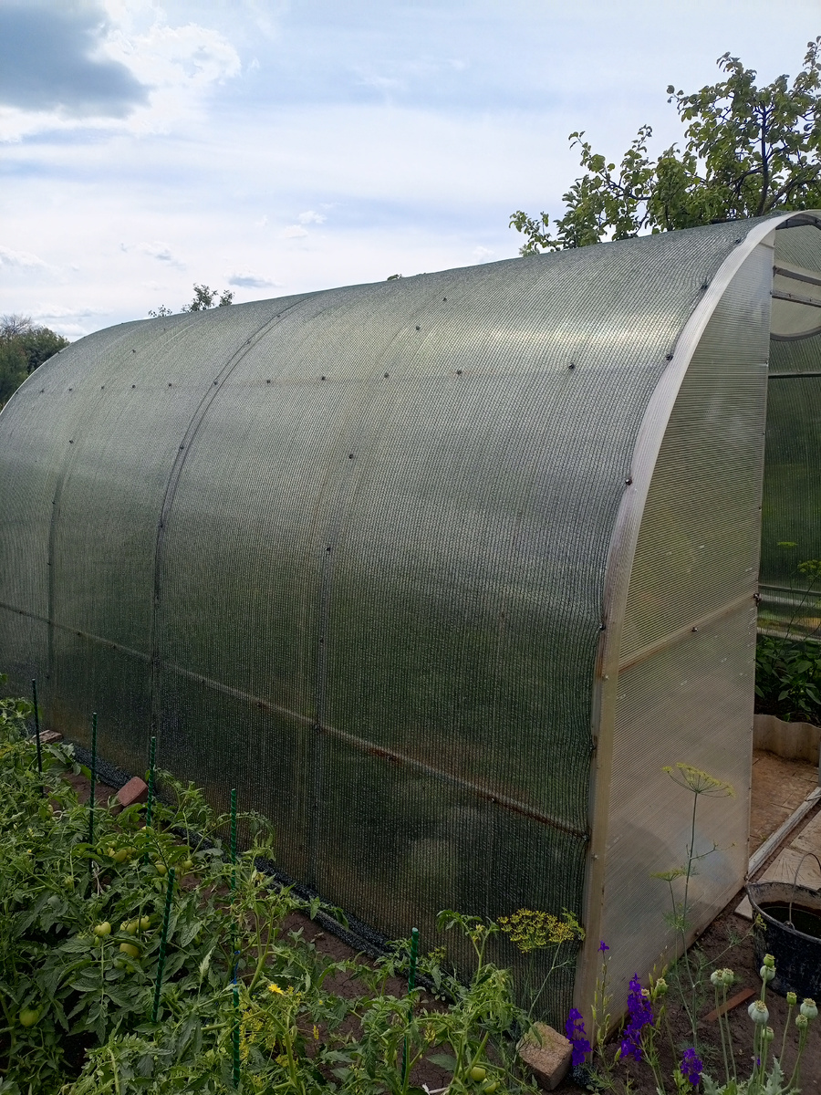 Фото сделано автором канала