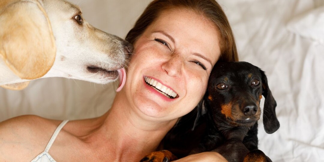 Как собака выражает благодарность хозяину: 5 способов сказать "спасибо"