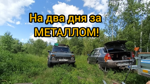 Двухдневный металлокоп!