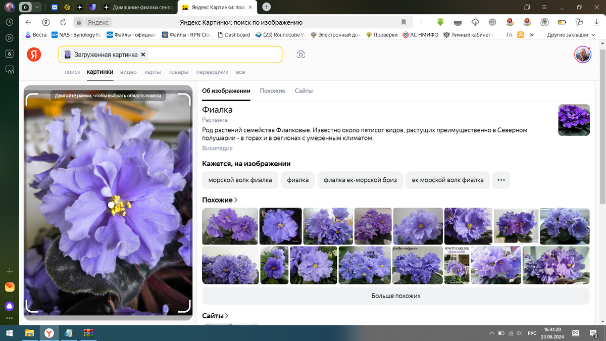 Поиск по картинке в Яндексе