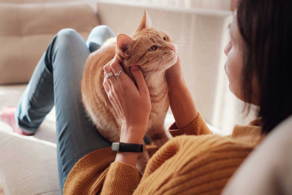 Почему кошка долго смотрит в глаза человека?