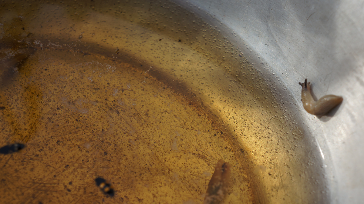 Спустя час после установки одной из емкостей