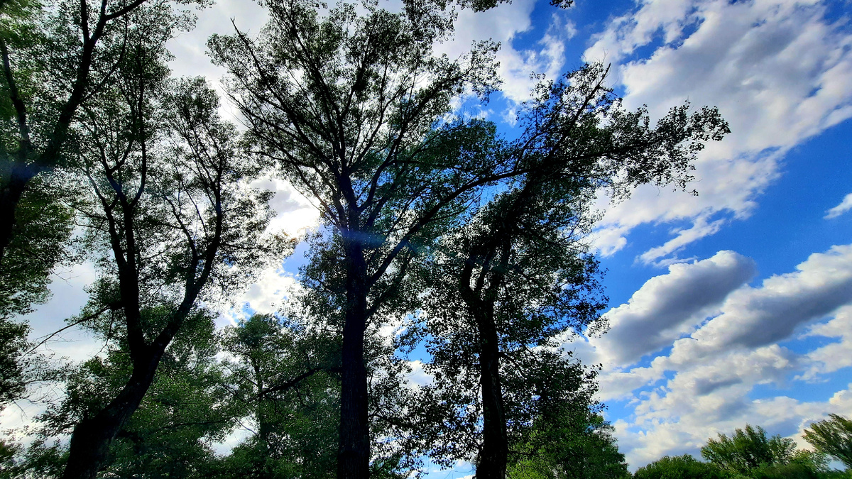 Погода замечательная была, и не сильно жарко было - для отдыха на природе самое то) 