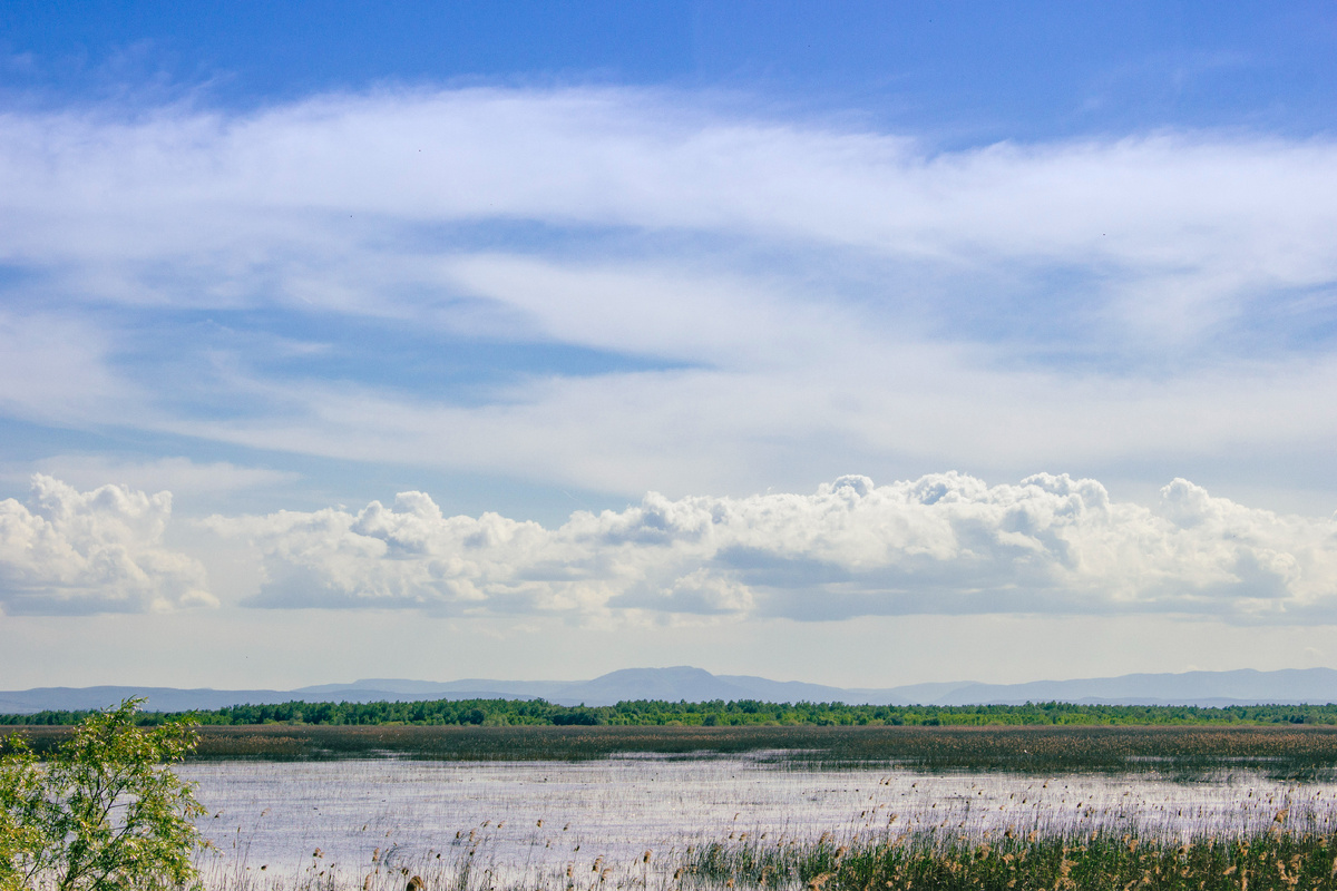 Шапсугское водохранилище. За лесом хутор Бычковский. На горизонте Собер-Баш. 