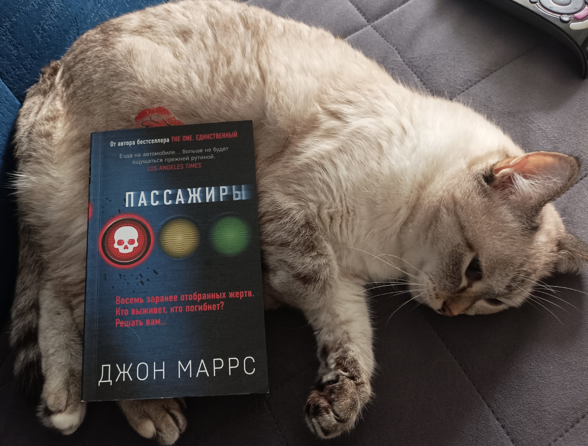 Читаемую книгу в формате pocket book представляет Дженнифер. 