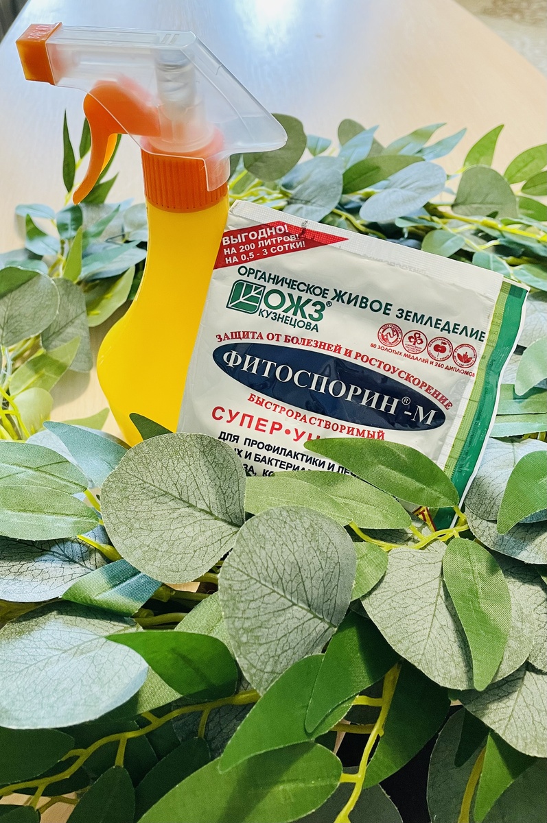 Фитоспорин-м в виде пасты.