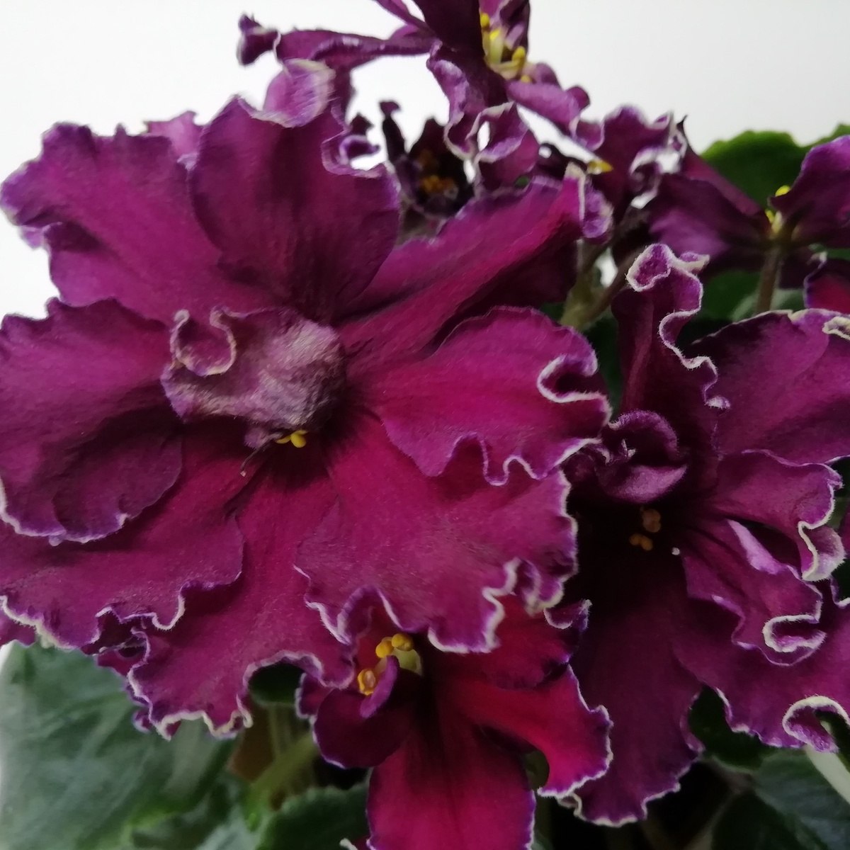 АВ-Сердце Матери