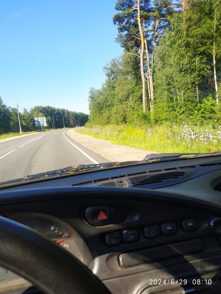 В этом голу по обочинам и в городе и за городом цветёт лён. Откуда он взялся... В прошлом году такого не было. А в этом году по обочинам просто голубые цветочные полянки льна. Очень красиво смотрится)