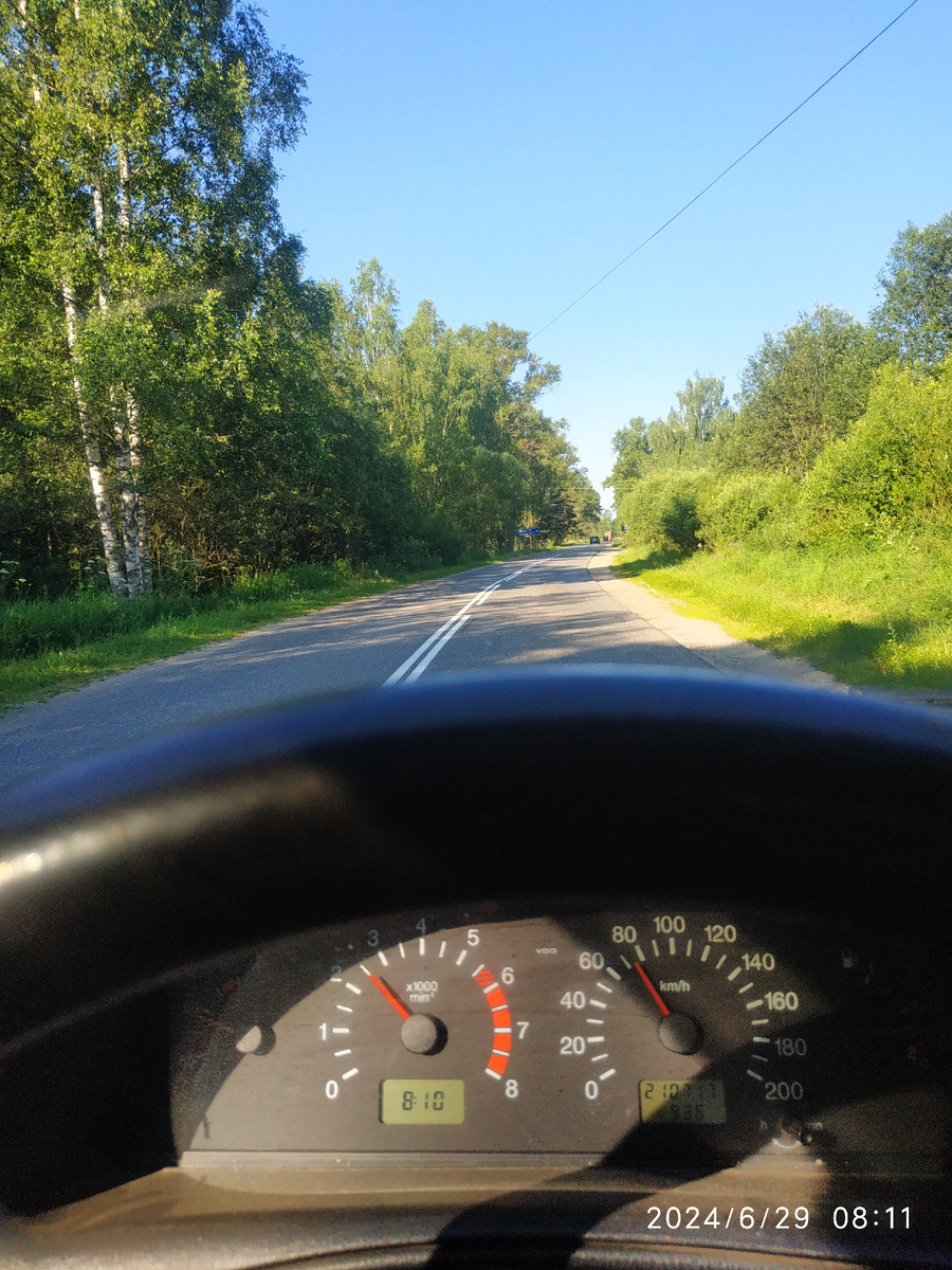 Через километр от эстакады, дорога немного идёт вниз и сосновый лес сменяется смешанны. И уже не сосны, а березы радуют глаз)