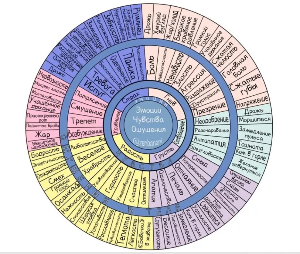 Как выразить эмоцию: алгоритм проживания того, что чувствуете | Сайт  психологов b17.ru | Дзен