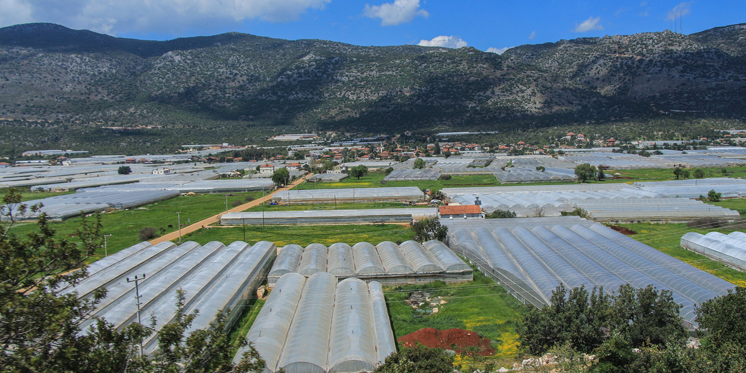Рынок недвижимости Аланьи в Турции окончательно встал. Какие причины?