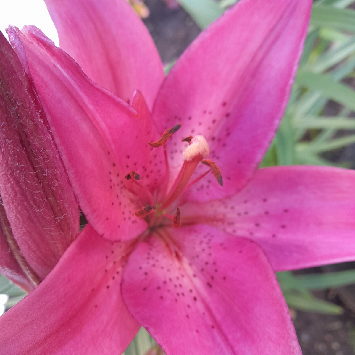 Иногда всё не так