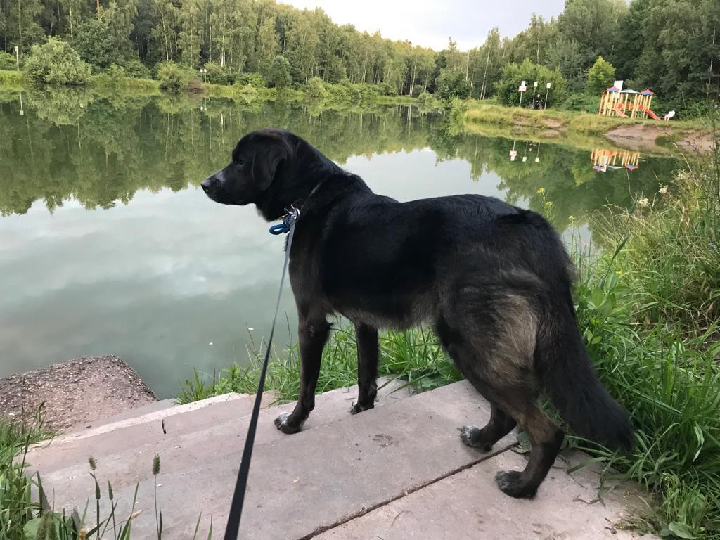 Знал ли Джой из Марий-Эл, что однажды станет москвичом?