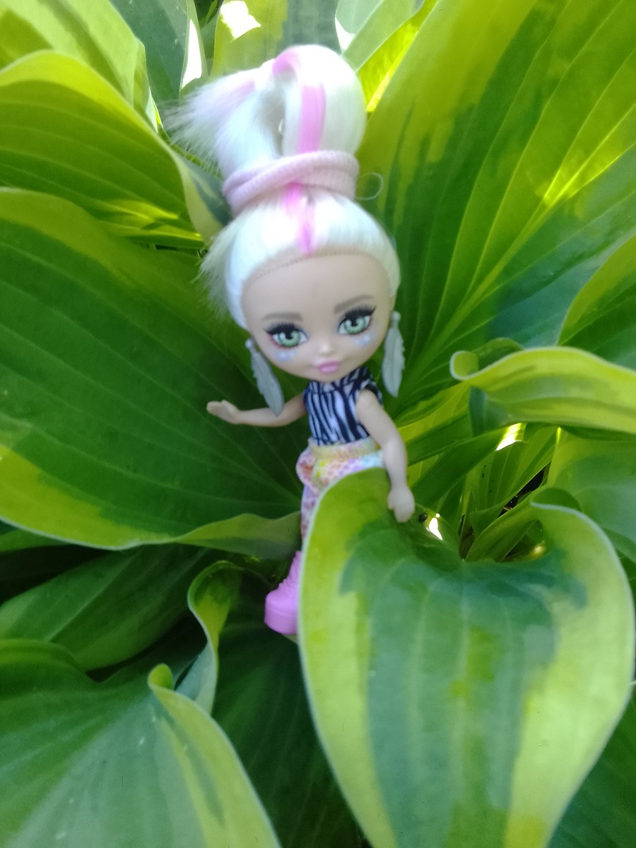 Моя Барби крошка Китти-Тигра. Фото автора