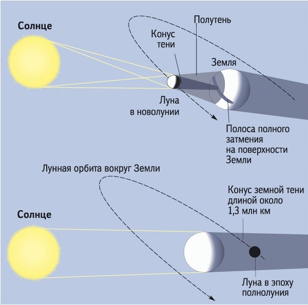 Рис. 5.