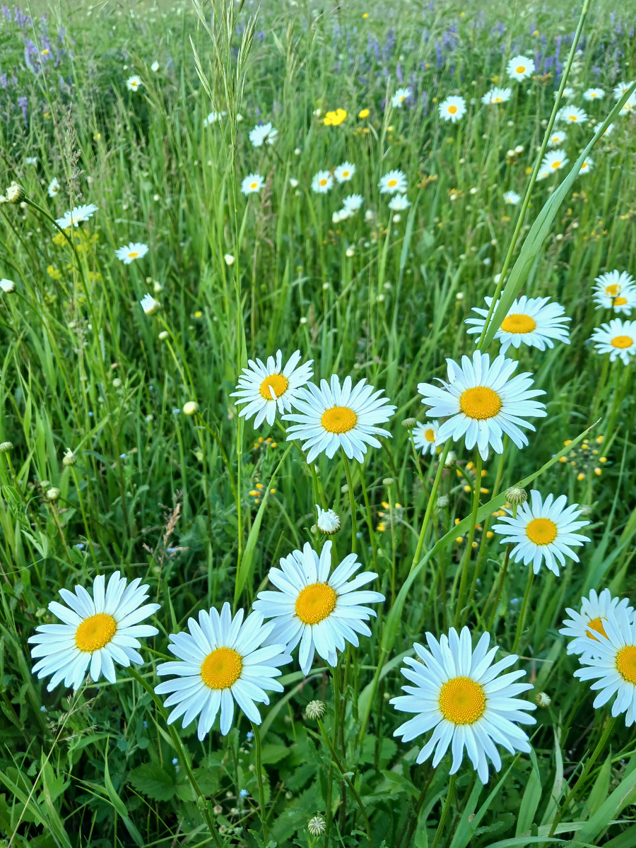 Из личного архива администратора канала 