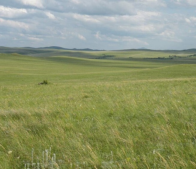 Сон генерала