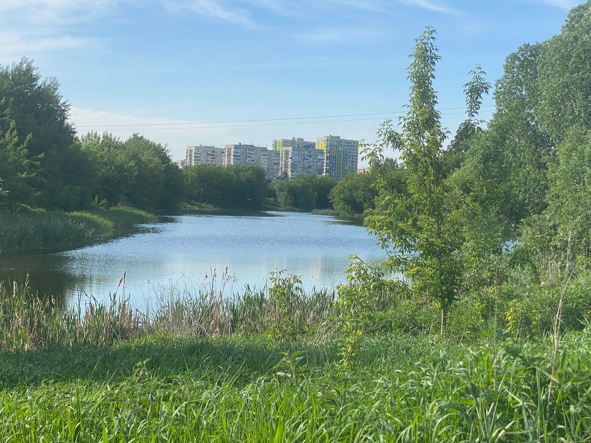 Из личного архива