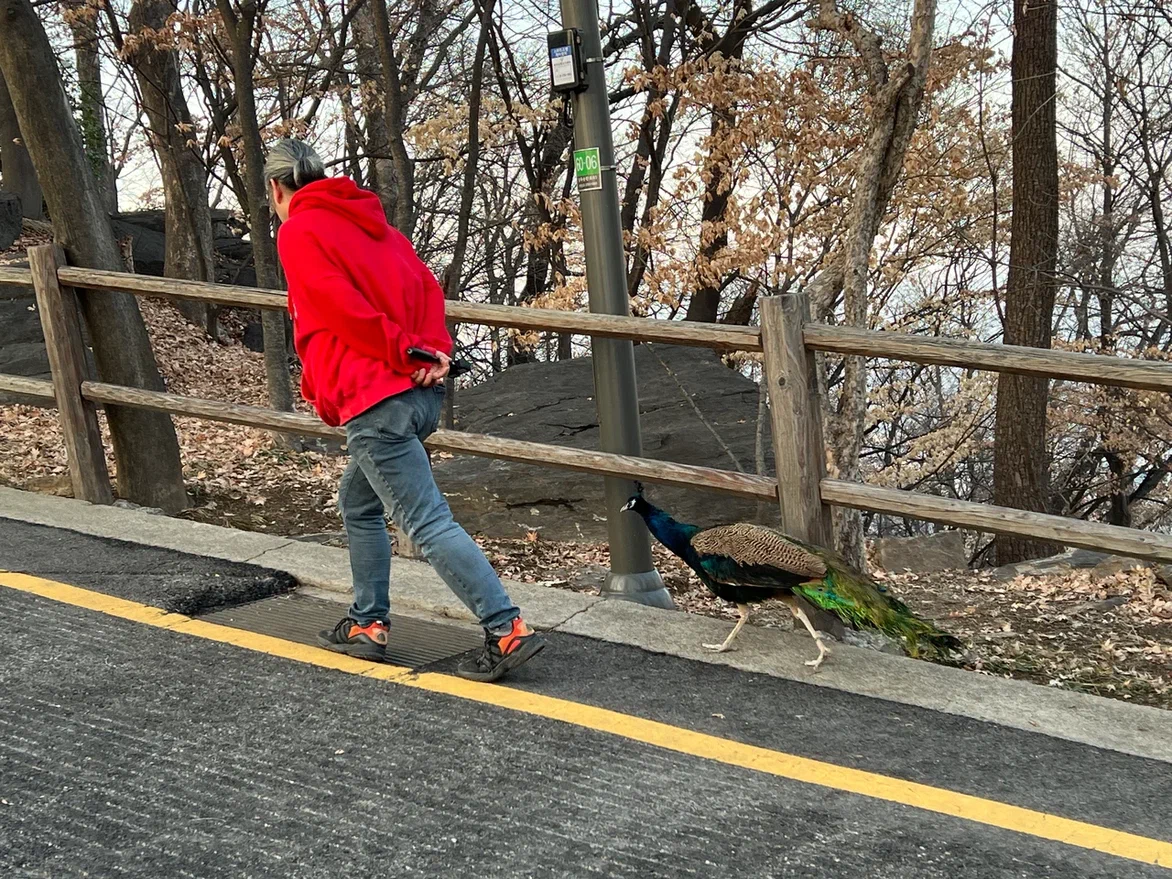 По дорожке к телебашне на горе Намсан. Фото автора