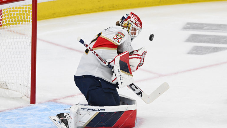    Сергей Бобровский. USA Today Sports