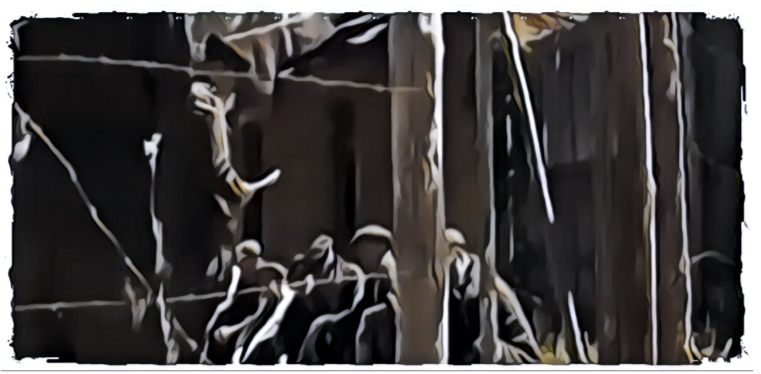 - Вы меня не запугаете,- вымолвил он и приставил пистолет к голове арестанта